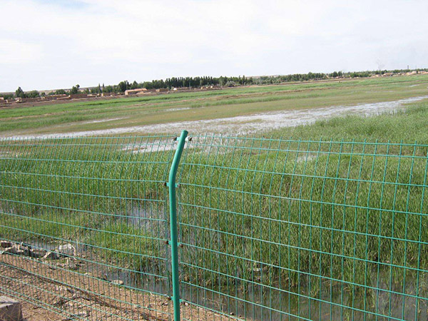 公路護欄網(wǎng)圖片4