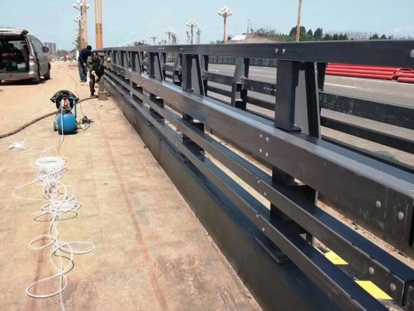 橋梁護(hù)欄圖片2